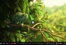 jQuery MP4視頻播放器代碼